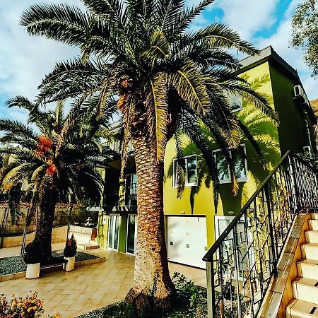 Palm Point Apartment Petrovac Dış mekan fotoğraf