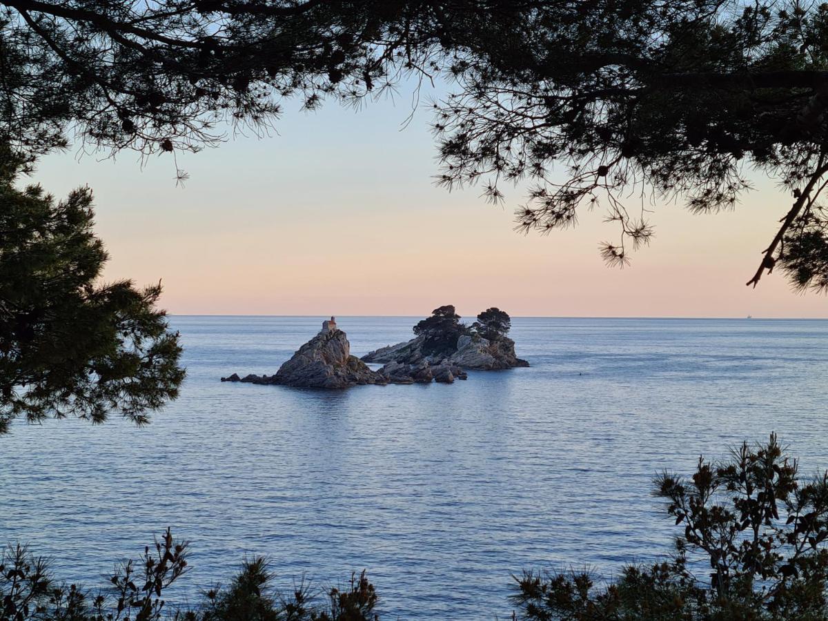 Palm Point Apartment Petrovac Dış mekan fotoğraf