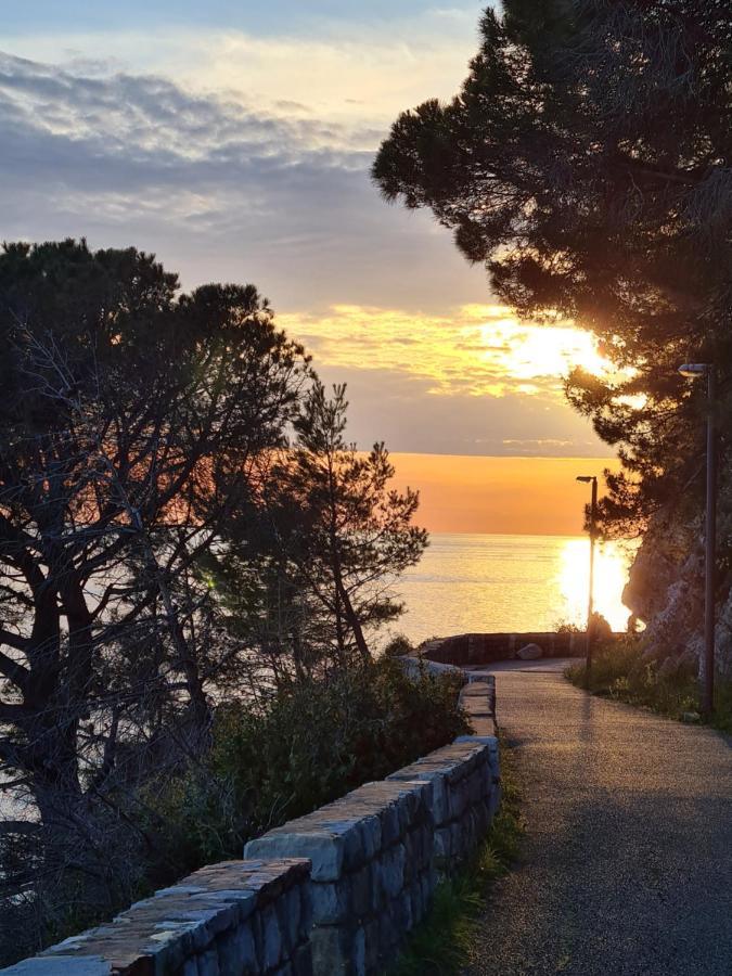 Palm Point Apartment Petrovac Dış mekan fotoğraf