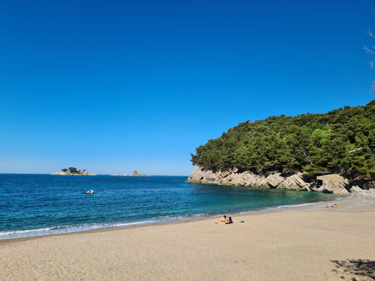 Palm Point Apartment Petrovac Dış mekan fotoğraf