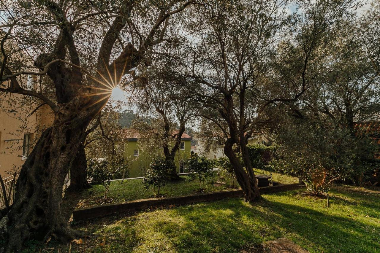 Palm Point Apartment Petrovac Dış mekan fotoğraf