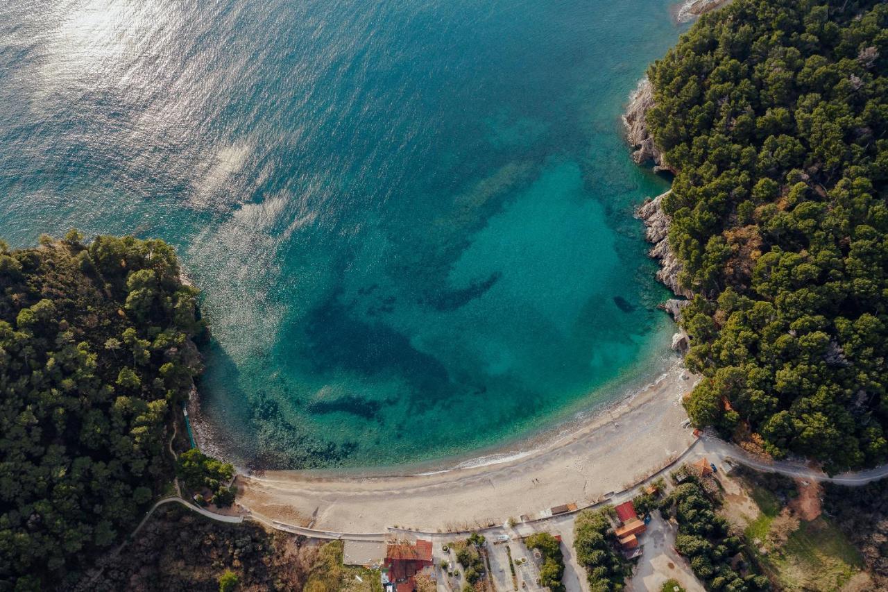 Palm Point Apartment Petrovac Dış mekan fotoğraf
